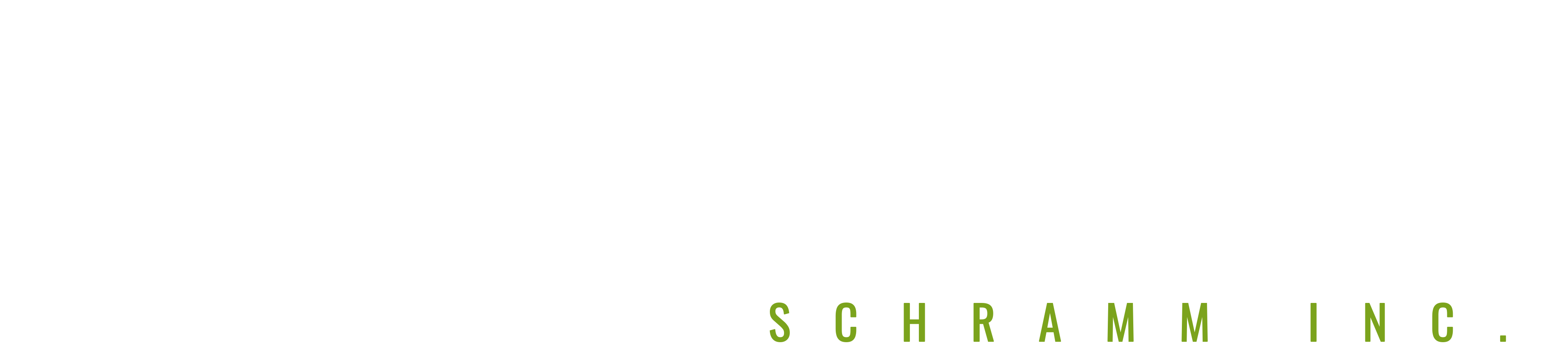 FieldVizor Logo